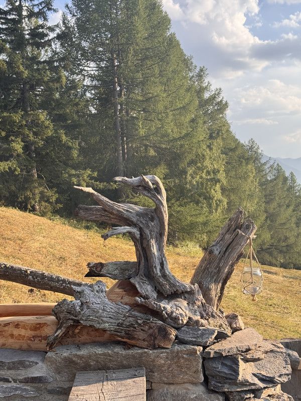 Alp-Brunnen - Ansicht 1