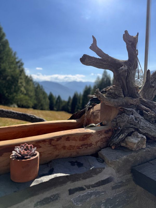 Alp-Brunnen - Ansicht 2